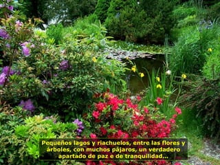 Pequeños lagos y riachuelos, entre las flores y
árboles, con muchos pájaros, un verdadero
apartado de paz e de tranquilidad...
 