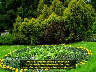 Verde, mucho verde y absoluta
conciencia de preservación, una
cuestión de honra para los austríacos...
 