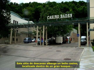 Este sitio de descanso alberga un bello casino,
localizado dentro de un gran bosque...
 