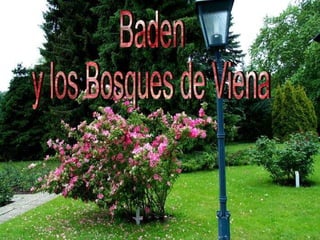 Baden  y los Bosques de Viena 