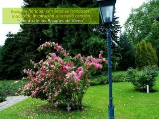 Bosques floridos, con árboles frondosos, motivó de inspiración a la bella canción “ Cuento de los Bosques de Viena ” 