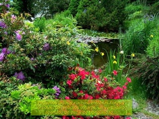 Pequeños lagos y riachos, entre las flores y árboles, con muchos pájaros, un verdadero apartado de paz y de tranquilidad... 
