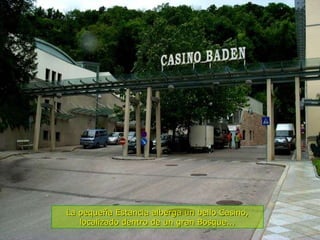 La pequeña Estancia alberga un bello Casino, localizado dentro de un gran Bosque... 