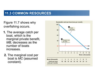 11.3 COMMON RESOURCES
Figure 11.7 shows why
overfishing occurs.
1. The average catch per
boat, which is the
marginal private benefit,
MB, decreases as the
number of boats
increases.
2. The marginal cost per
boat is MC (assumed
constant).

 