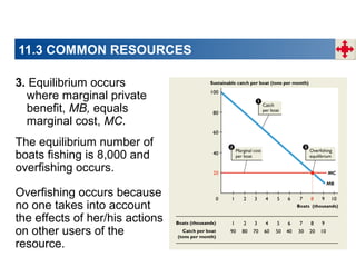 11.3 COMMON RESOURCES
3. Equilibrium occurs
where marginal private
benefit, MB, equals
marginal cost, MC.
The equilibrium number of
boats fishing is 8,000 and
overfishing occurs.
Overfishing occurs because
no one takes into account
the effects of her/his actions
on other users of the
resource.

 