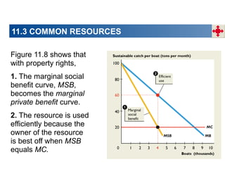 11.3 COMMON RESOURCES
Figure 11.8 shows that
with property rights,
1. The marginal social
benefit curve, MSB,
becomes the marginal
private benefit curve.
2. The resource is used
efficiently because the
owner of the resource
is best off when MSB
equals MC.

 