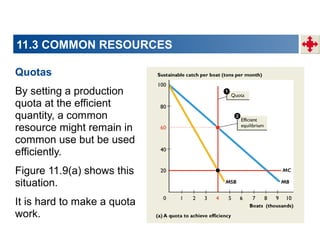 11.3 COMMON RESOURCES
Quotas
By setting a production
quota at the efficient
quantity, a common
resource might remain in
common use but be used
efficiently.
Figure 11.9(a) shows this
situation.
It is hard to make a quota
work.

 
