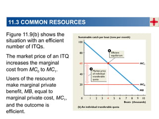 11.3 COMMON RESOURCES
Figure 11.9(b) shows the
situation with an efficient
number of ITQs.
The market price of an ITQ
increases the marginal
cost from MC0 to MC1.
Users of the resource
make marginal private
benefit, MB, equal to
marginal private cost, MC1,
and the outcome is
efficient.

 