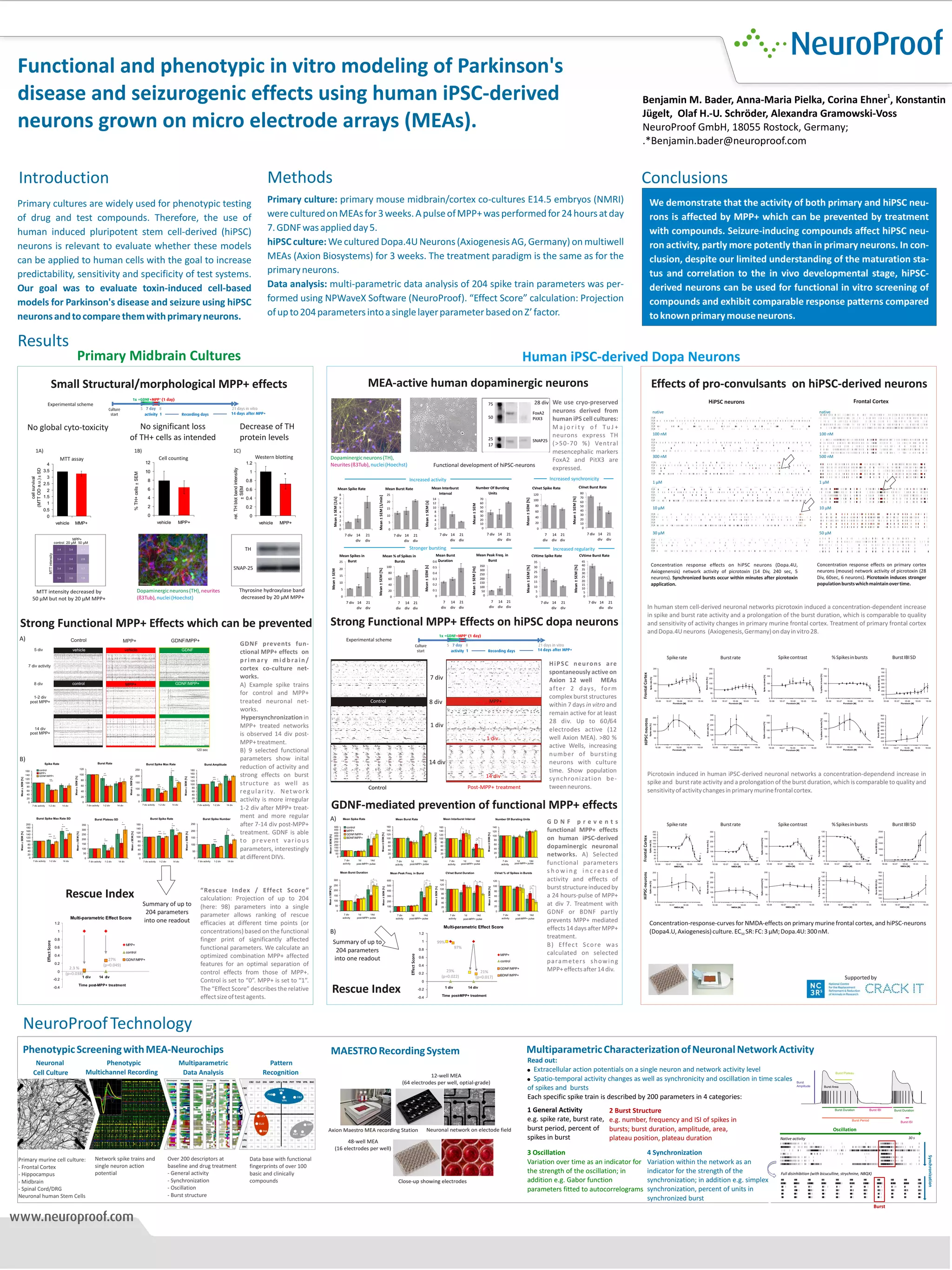 Phenotypic screening using MEAs | PDF