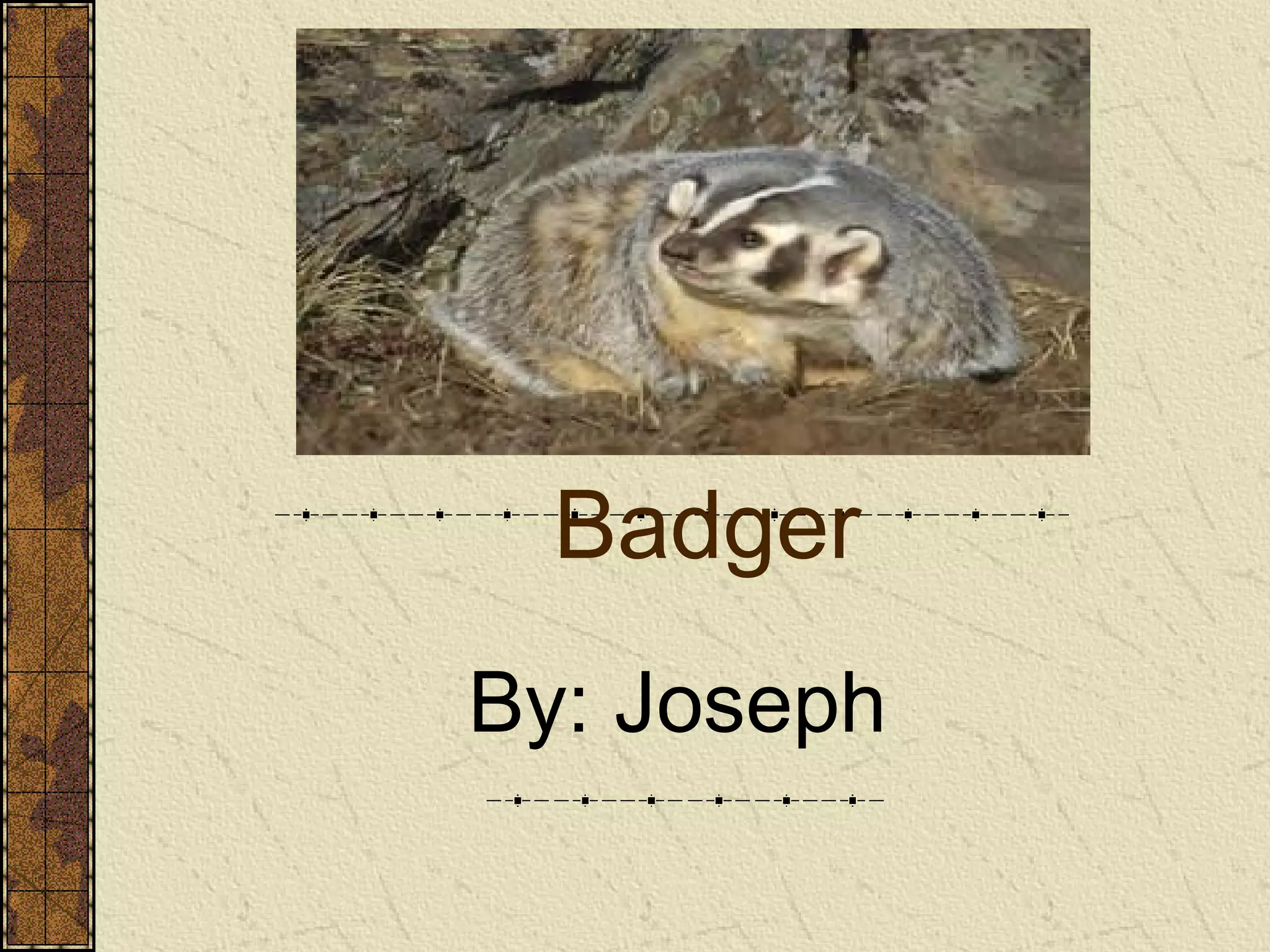 Badger By: Joseph