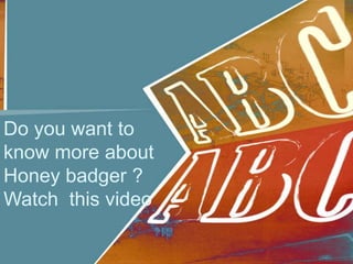 Do you want to
know more about
Honey badger ?
Watch this video
 