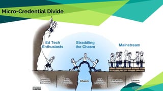 Micro-Credential Divide
 