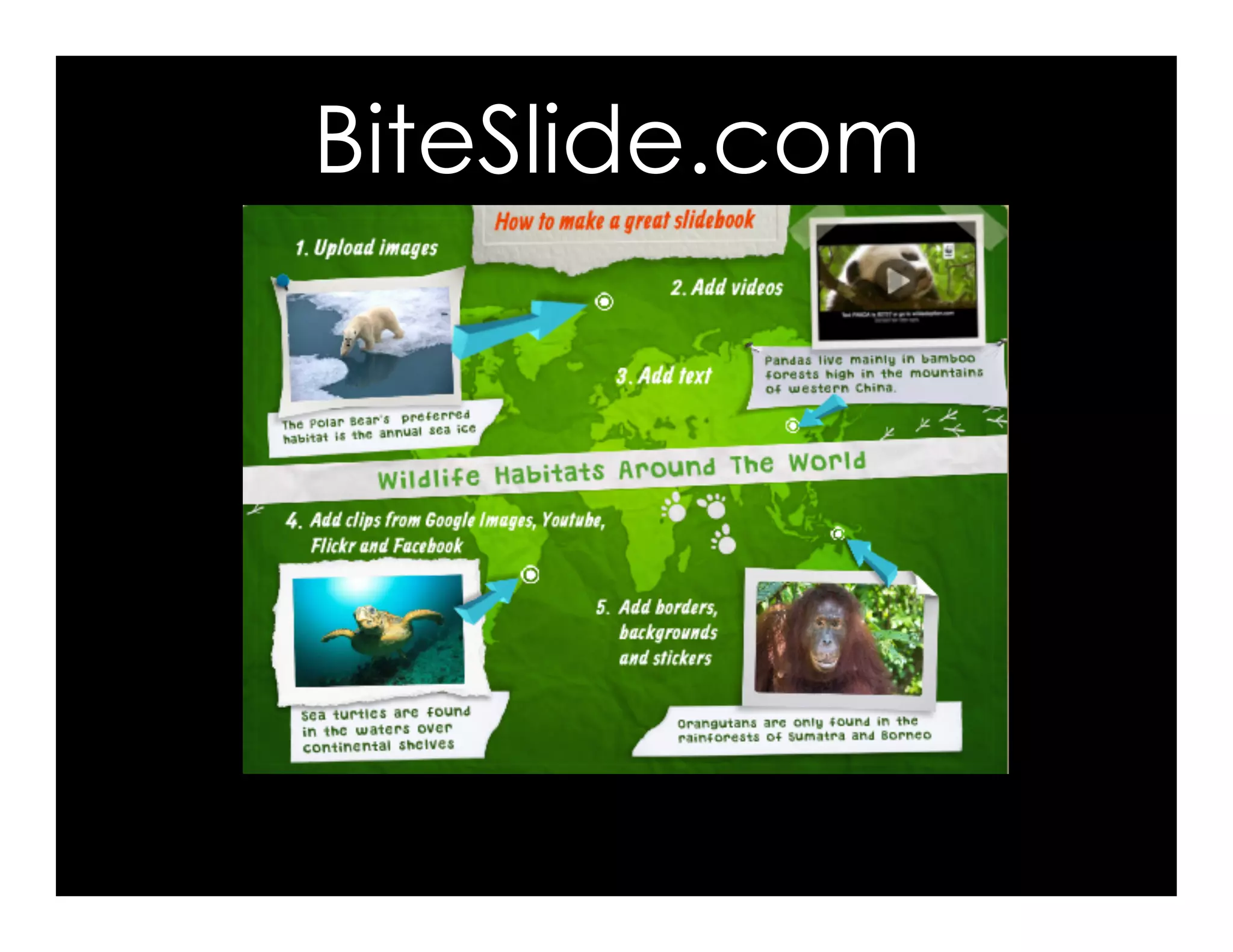 BiteSlide.com 
 