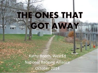 Kathy Booth, WestEd 
National Badging Alliance 
October 2014 
 