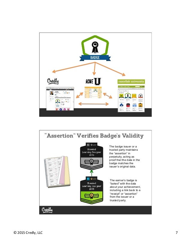 badge system