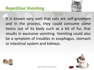 A closer look at Cats Excessive Vomiting Symptoms