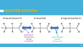 Approach to Acid-Base Disturbances & Renal Tubular Acidosis (RTA) | PDF