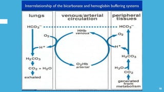 Approach to Acid-Base Disturbances & Renal Tubular Acidosis (RTA) | PDF