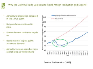• Agricultural production collapsed
in the 1970s-1980s
• But population continued to
grow
• Unmet demand continued to pile
up
• Rising incomes in post 2000s
accelerate demand
• Agriculture grows again but rates
cannot keep up with demand
Why the Growing Trade Gap Despite Rising African Production and Exports
Source: Badiane et al (2016).
 