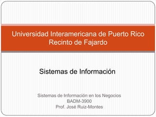 Universidad Interamericana de Puerto RicoRecinto de Fajardo Sistemas de Información  Sistemas de Información en los Negocios  BADM-3900 Prof. José Ruiz-Montes 