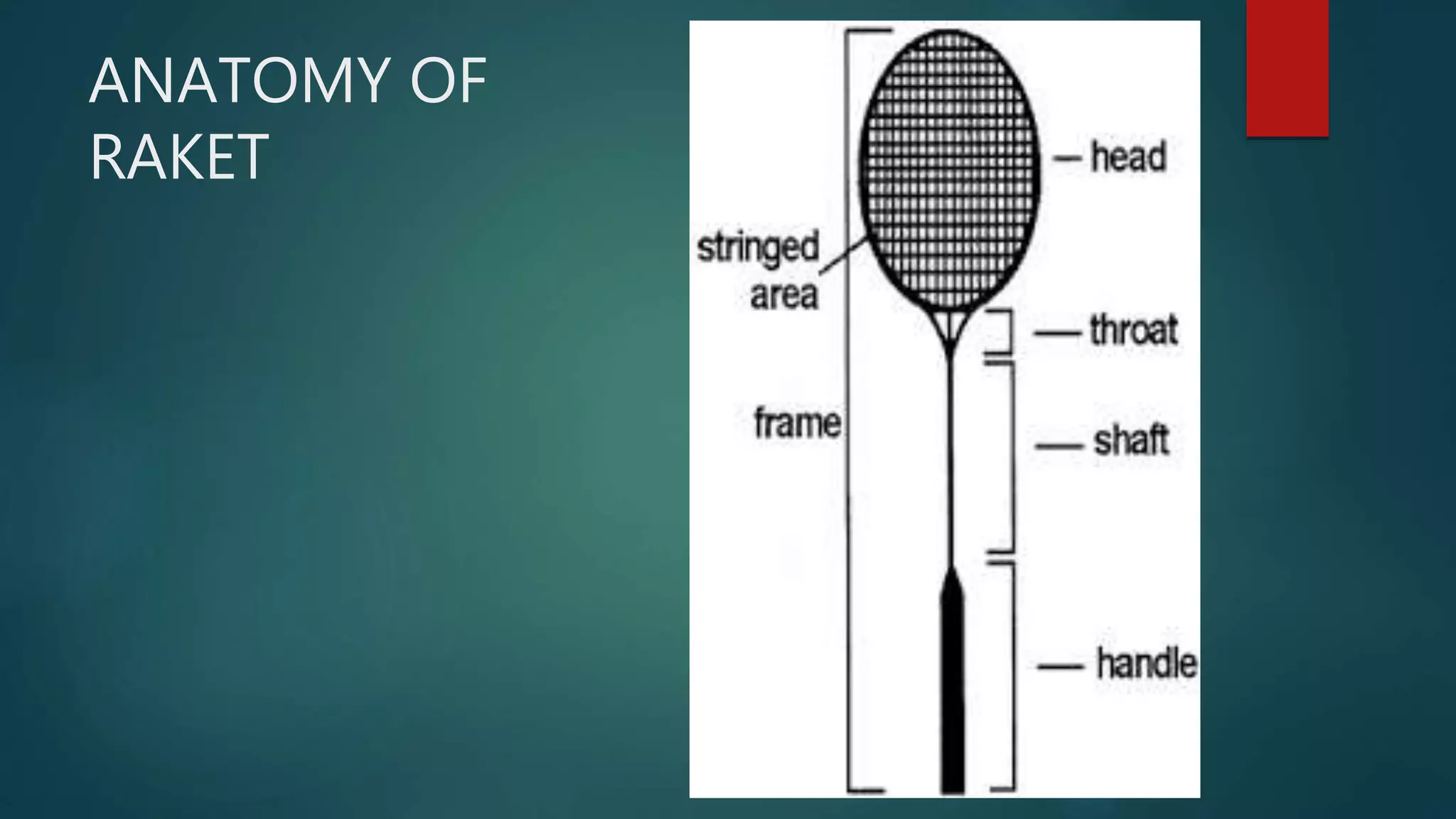 Badminton Court Parts Drawing