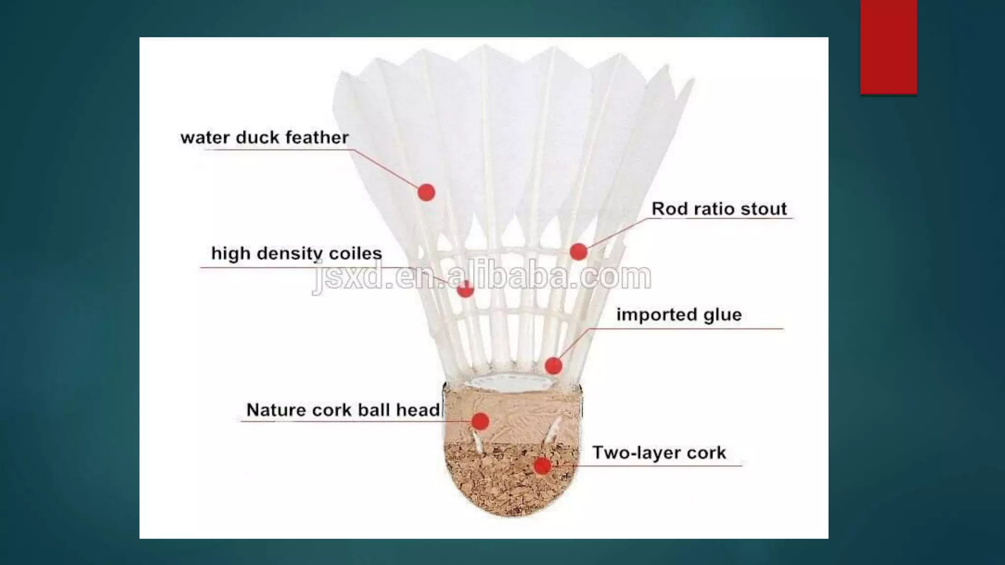 Badminton Shuttlecock Drawing With Label And Measurement