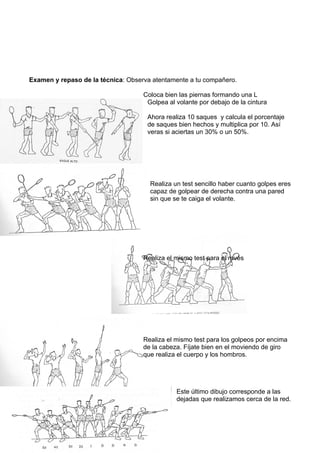 Badminton definitivo