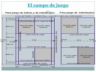 El campo de juego
 