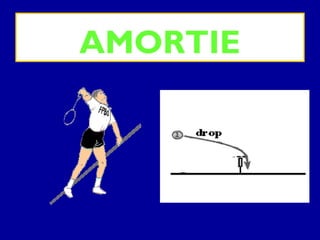AMORTIE
 