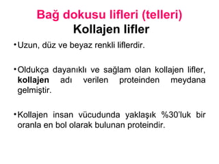 Bağ dokusu lifleri (telleri)
Kollajen lifler
•Uzun, düz ve beyaz renkli liflerdir.
•Oldukça dayanıklı ve sağlam olan kollajen lifler,
kollajen adı verilen proteinden meydana
gelmiştir.
•Kollajen insan vücudunda yaklaşık %30’luk bir
oranla en bol olarak bulunan proteindir.
 