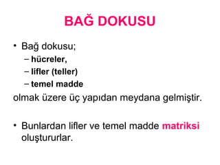 BAĞ DOKUSU
• Bağ dokusu;
– hücreler,
– lifler (teller)
– temel madde
olmak üzere üç yapıdan meydana gelmiştir.
• Bunlardan lifler ve temel madde matriksi
oluştururlar.
 