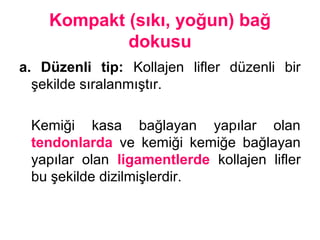 Kompakt (sıkı, yoğun) bağ
dokusu
a. Düzenli tip: Kollajen lifler düzenli bir
şekilde sıralanmıştır.
Kemiği kasa bağlayan yapılar olan
tendonlarda ve kemiği kemiğe bağlayan
yapılar olan ligamentlerde kollajen lifler
bu şekilde dizilmişlerdir.
 