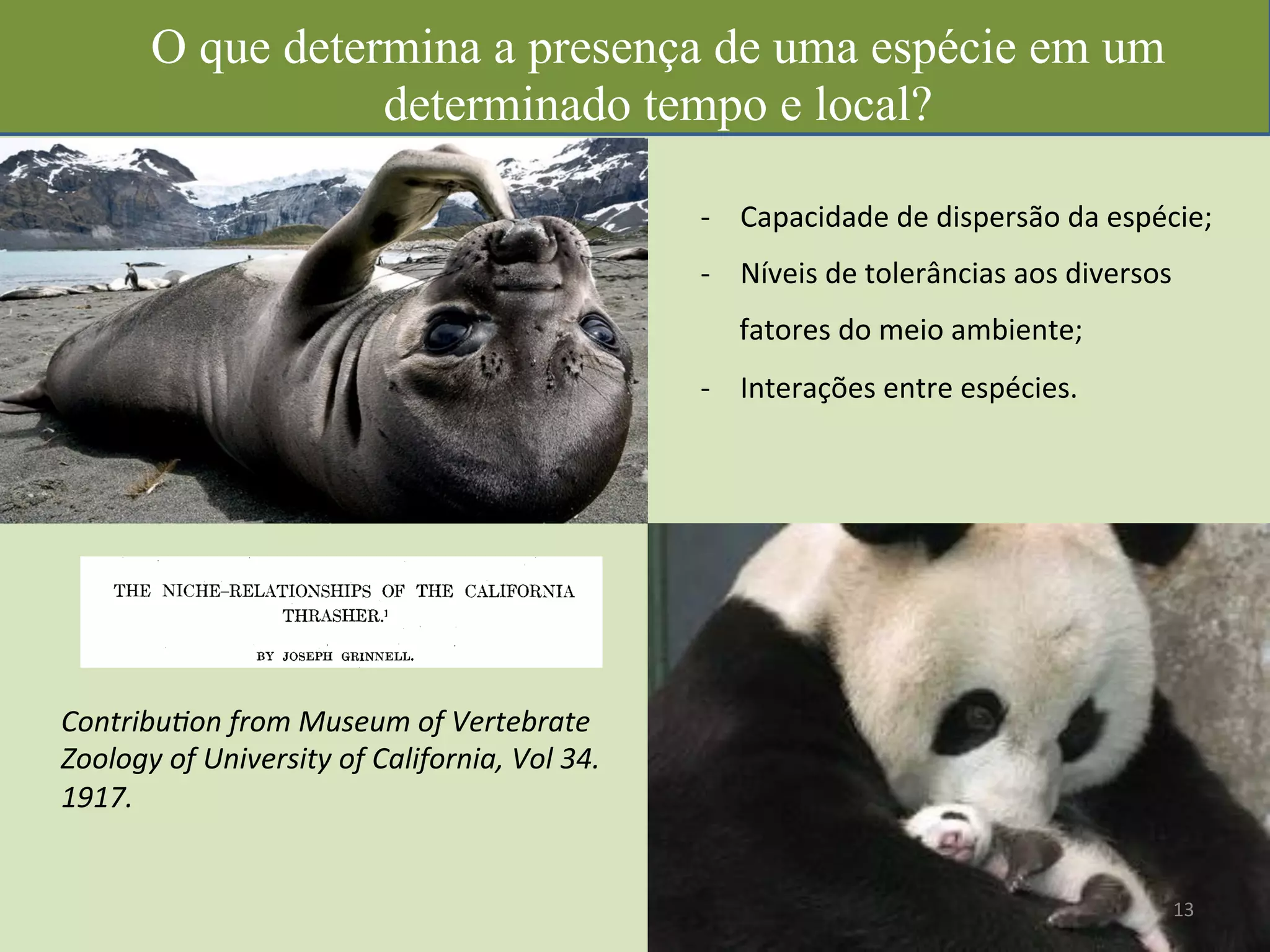 O que determina a presença de uma espécie em um
determinado tempo e local?
VøI'i•lXyXIV] GRINNELL,TheCaliforniaThrasher. 427
into the body of the partly eatenbantamand replacedit in the
samespotwherehe foundit. Next morningthe seeminglyim-
possiblewasmadea practicalcertainty,for hefoundthebodyof a
screechowlwith the clawsof onefootfirlnly imbeddedin the body
of the bantam. He very kindly presentedmewith the owl which,
upondissection,provedto be a female,its stomacheontalninga
very considerableamountof bantamfleshand feathers,together
with a great deal of wheat. (It seelnsprobablethat the wheat
was accidentallyswallowedwith the crop of the bantam during
thefeast,but therewassomuchthat it seelnsstrangethe owldid
not discardit whileeating). How a birdonly9.12inchesin length•
could have dealt out such havoc in so short a time is almost in-
credible,but, althoughpurelycircumstantial,the evldeneeagainst
theowlappearedaltogethertoostrongfor evena reasonabledoubt.
The doctorand I wishedto makeascertainaspossible,however,
so the poisonedbantam was replacedand left for severaldays,
but withoutanyfurtherresults. For theabovementionedreasons
I am rather doubtful as to the net value of this owl from an
economicstandpoint,althoughbirdsin a wildstat•wouldnot
give theln such opportunitiesfor suchwanton killing as birds
enclosedin pens.
THE NICHE-RELATIONSHIPS OF THE CALIFORNIA
THRASHER?
BYJOSEPHGRINNELL.
TUE CaliforniaThrasher (Toxostomaredivivum)is one of the
severaldistinctbirdtypeswhichcharacterizetheso-called"Cali-
fornian Fauna." Its range is notably restricted,even more so
than thatof theWren-Tit. Only at the southdoestheCalifornia
Thrasheroccurbeyondthe limits of the stateof California,and in
that directiononly asfar asthe SanPedroMartit Mountainsand
Contribution from the Museum of Vertebrate Zo51ogyof the University of California.
Contribu)on	
  from	
  Museum	
  of	
  Vertebrate	
  
Zoology	
  of	
  University	
  of	
  California,	
  Vol	
  34.	
  
1917.	
  
-­‐  Capacidade	
  de	
  dispersão	
  da	
  espécie;	
  
-­‐  Níveis	
  de	
  tolerâncias	
  aos	
  diversos	
  
fatores	
  do	
  meio	
  ambiente;	
  	
  
-­‐  Interações	
  entre	
  espécies.	
  
13	
  
 