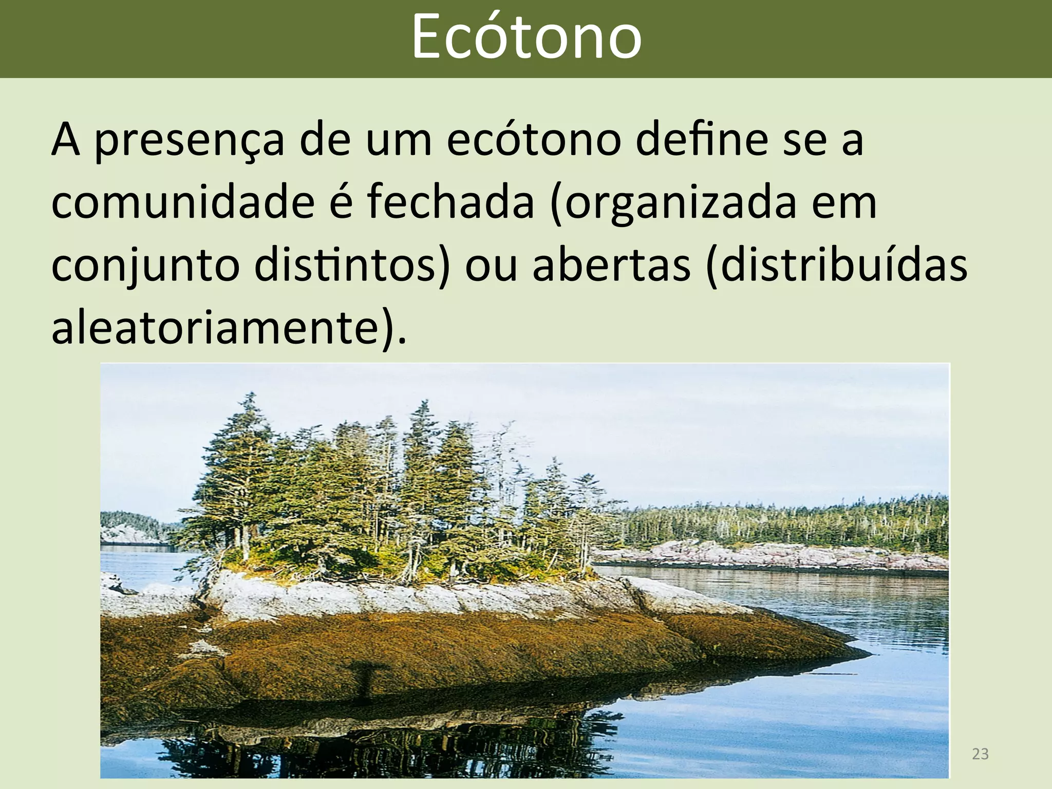 A	
  presença	
  de	
  um	
  ecótono	
  deﬁne	
  se	
  a	
  
comunidade	
  é	
  fechada	
  (organizada	
  em	
  
conjunto	
  disEntos)	
  ou	
  abertas	
  (distribuídas	
  
aleatoriamente).	
  
Ecótono	
  
23	
  
 