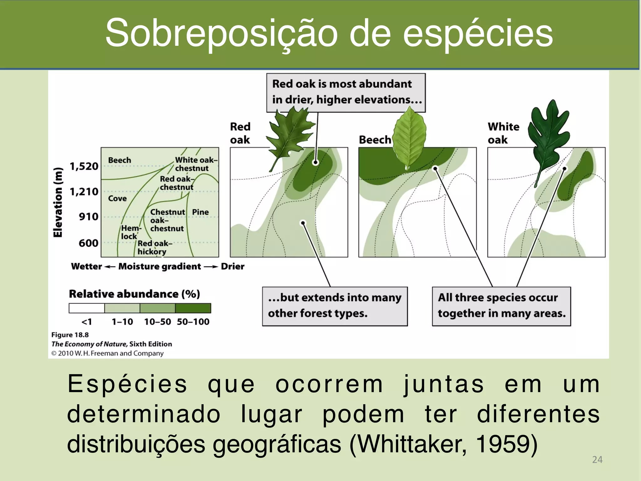 Sobreposição de espécies
Espécies que ocorrem juntas em um
determinado lugar podem ter diferentes
distribuições geográficas (Whittaker, 1959) 24	
  
 
