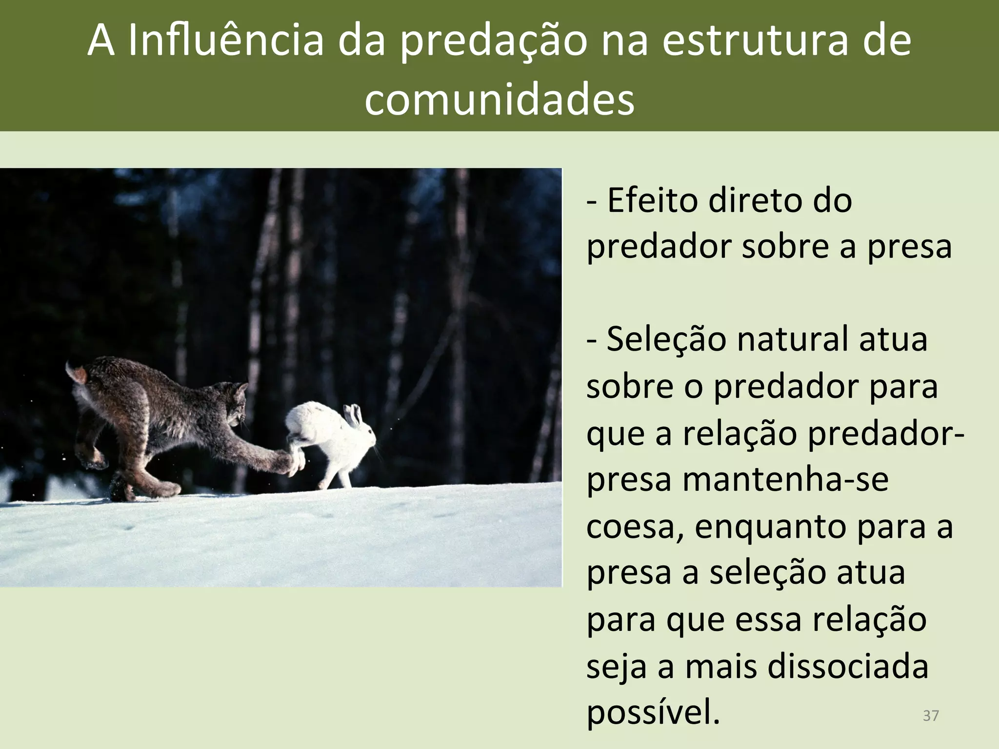 A	
  Inﬂuência	
  da	
  predação	
  na	
  estrutura	
  de	
  
comunidades	
  
-­‐	
  Efeito	
  direto	
  do	
  
predador	
  sobre	
  a	
  presa	
  
	
  
-­‐	
  Seleção	
  natural	
  atua	
  
sobre	
  o	
  predador	
  para	
  
que	
  a	
  relação	
  predador-­‐
presa	
  mantenha-­‐se	
  
coesa,	
  enquanto	
  para	
  a	
  
presa	
  a	
  seleção	
  atua	
  
para	
  que	
  essa	
  relação	
  
seja	
  a	
  mais	
  dissociada	
  
possível.	
   37	
  
 