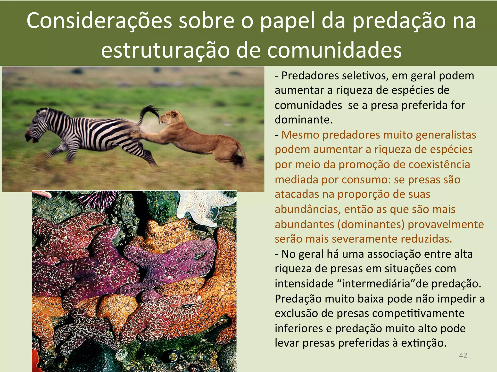 Considerações	
  sobre	
  o	
  papel	
  da	
  predação	
  na	
  
estruturação	
  de	
  comunidades	
  
-­‐	
  Predadores	
  seleEvos,	
  em	
  geral	
  podem	
  
aumentar	
  a	
  riqueza	
  de	
  espécies	
  de	
  
comunidades	
  	
  se	
  a	
  presa	
  preferida	
  for	
  
dominante.	
  
-­‐	
  Mesmo	
  predadores	
  muito	
  generalistas	
  
podem	
  aumentar	
  a	
  riqueza	
  de	
  espécies	
  
por	
  meio	
  da	
  promoção	
  de	
  coexistência	
  
mediada	
  por	
  consumo:	
  se	
  presas	
  são	
  
atacadas	
  na	
  proporção	
  de	
  suas	
  
abundâncias,	
  então	
  as	
  que	
  são	
  mais	
  
abundantes	
  (dominantes)	
  provavelmente	
  
serão	
  mais	
  severamente	
  reduzidas.	
  
-­‐	
  No	
  geral	
  há	
  uma	
  associação	
  entre	
  alta	
  
riqueza	
  de	
  presas	
  em	
  situações	
  com	
  
intensidade	
  “intermediária”de	
  predação.	
  
Predação	
  muito	
  baixa	
  pode	
  não	
  impedir	
  a	
  
exclusão	
  de	
  presas	
  compeEEvamente	
  
inferiores	
  e	
  predação	
  muito	
  alto	
  pode	
  
levar	
  presas	
  preferidas	
  à	
  exEnção.	
  
Consumidor-chave?
42	
  
 