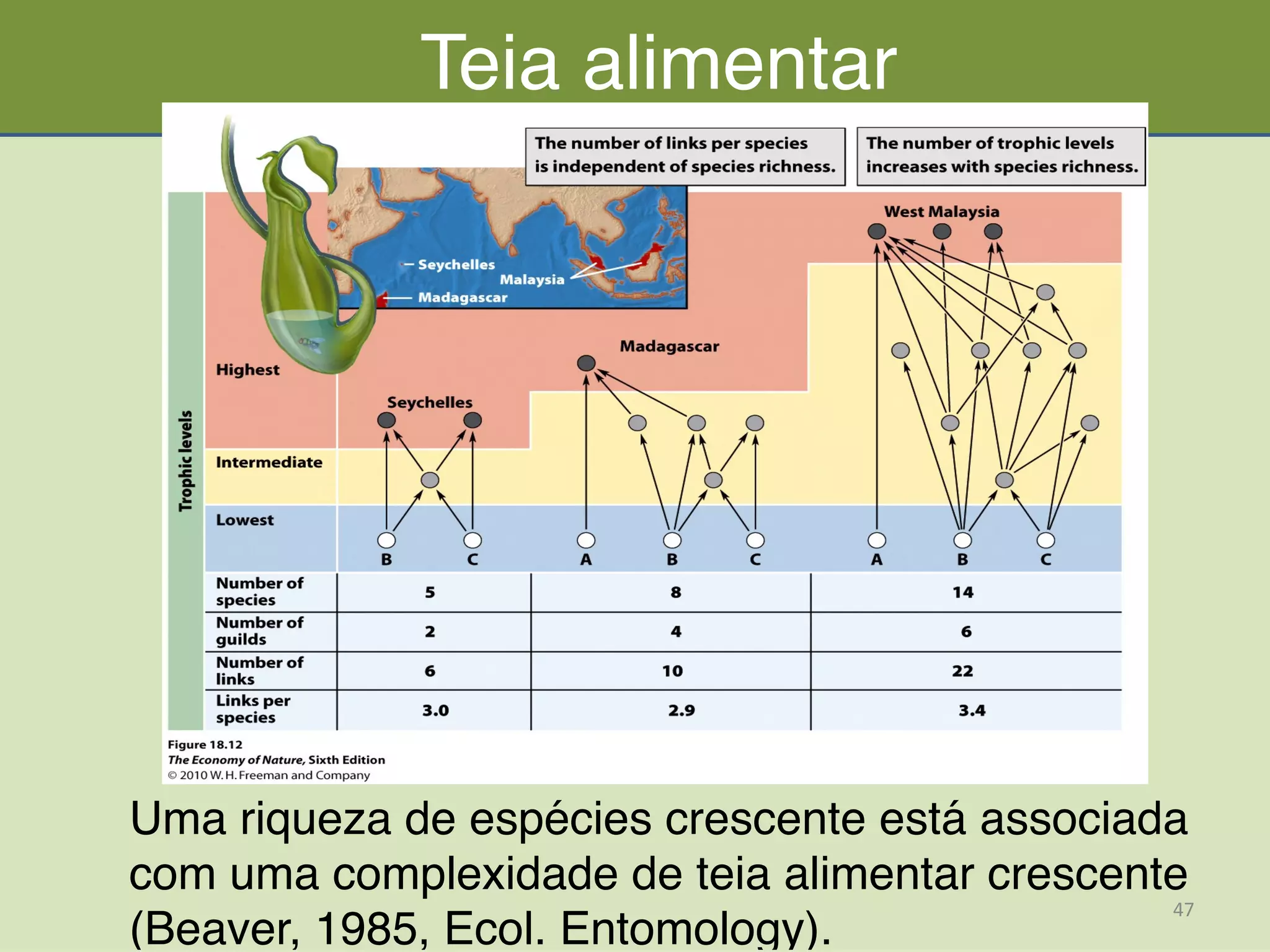 Teia alimentar
Uma riqueza de espécies crescente está associada
com uma complexidade de teia alimentar crescente
(Beaver, 1985, Ecol. Entomology).
47	
  
 