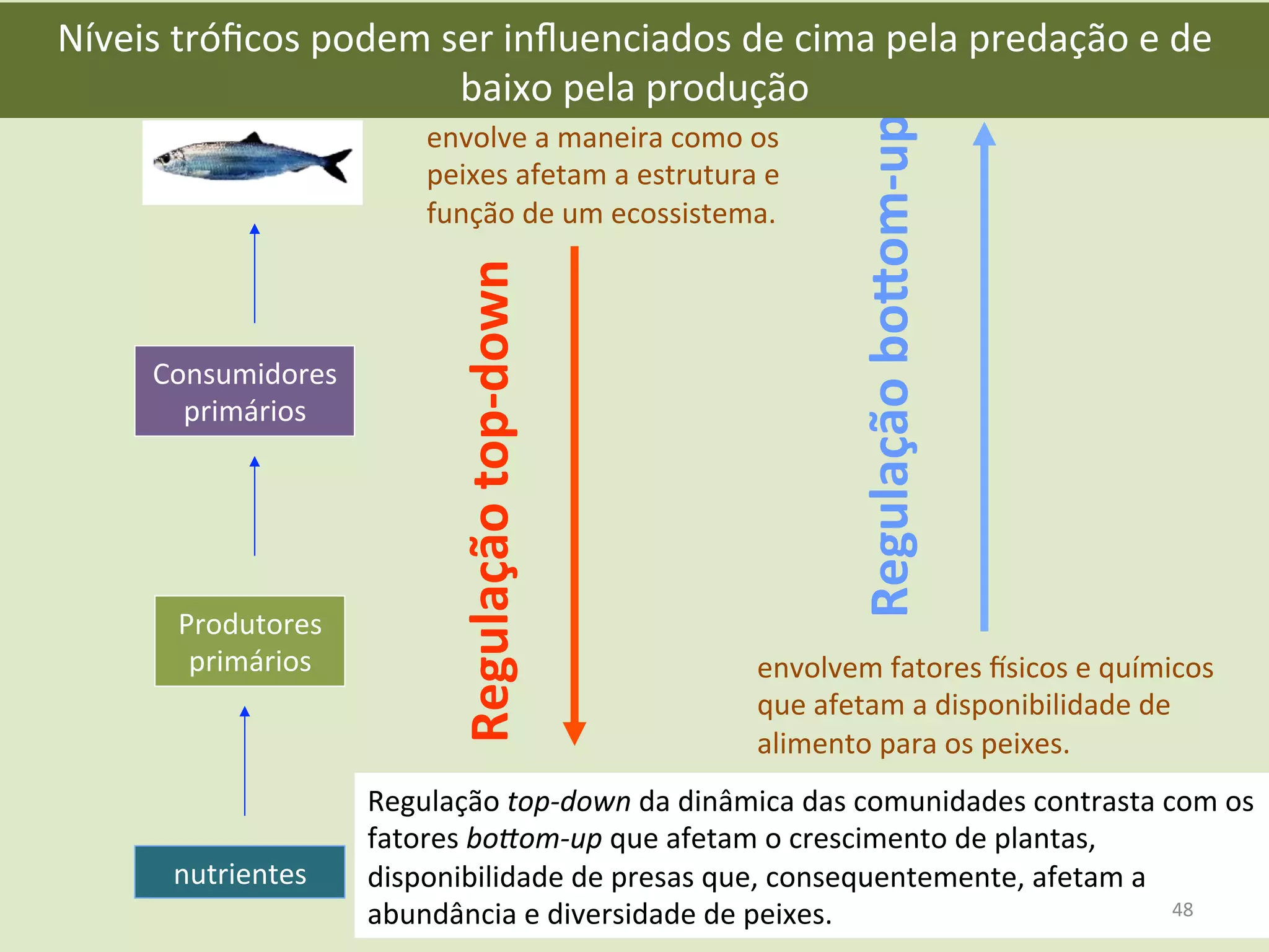 nutrientes	
  
Produtores	
  
primários	
  
Consumidores	
  
primários	
  
Regulação	
  top-­‐down	
  
Regulação	
  bo5om-­‐up	
  
Regulação	
  top-­‐down	
  da	
  dinâmica	
  das	
  comunidades	
  contrasta	
  com	
  os	
  
fatores	
  boFom-­‐up	
  que	
  afetam	
  o	
  crescimento	
  de	
  plantas,	
  
disponibilidade	
  de	
  presas	
  que,	
  consequentemente,	
  afetam	
  a	
  
abundância	
  e	
  diversidade	
  de	
  peixes.	
  
envolve	
  a	
  maneira	
  como	
  os	
  
peixes	
  afetam	
  a	
  estrutura	
  e	
  
função	
  de	
  um	
  ecossistema.	
  
envolvem	
  fatores	
  msicos	
  e	
  químicos	
  
que	
  afetam	
  a	
  disponibilidade	
  de	
  
alimento	
  para	
  os	
  peixes.	
  
Níveis	
  tróﬁcos	
  podem	
  ser	
  inﬂuenciados	
  de	
  cima	
  pela	
  predação	
  e	
  de	
  
baixo	
  pela	
  produção	
  
48	
  
 