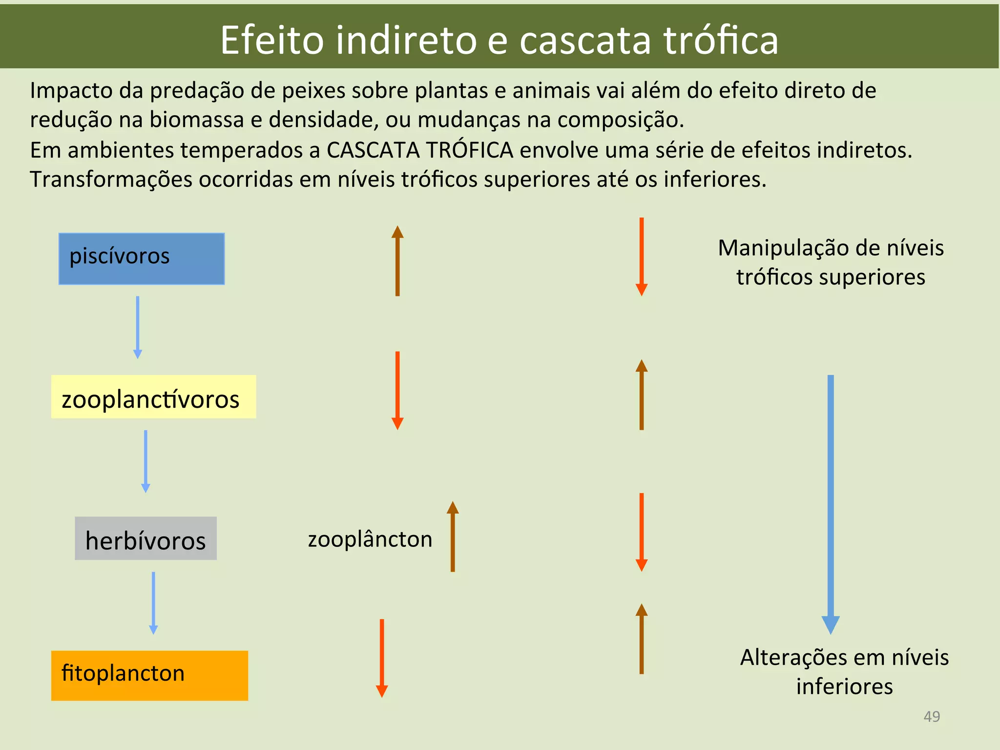 Efeito	
  indireto	
  e	
  cascata	
  tróﬁca	
  
Impacto	
  da	
  predação	
  de	
  peixes	
  sobre	
  plantas	
  e	
  animais	
  vai	
  além	
  do	
  efeito	
  direto	
  de	
  
redução	
  na	
  biomassa	
  e	
  densidade,	
  ou	
  mudanças	
  na	
  composição.	
  	
  
Em	
  ambientes	
  temperados	
  a	
  CASCATA	
  TRÓFICA	
  envolve	
  uma	
  série	
  de	
  efeitos	
  indiretos.	
  
Transformações	
  ocorridas	
  em	
  níveis	
  tróﬁcos	
  superiores	
  até	
  os	
  inferiores.	
  
piscívoros	
  
zooplanc„voros	
  
herbívoros	
  
ﬁtoplancton	
  
zooplâncton	
  
Manipulação	
  de	
  níveis	
  
tróﬁcos	
  superiores	
  
Alterações	
  em	
  níveis	
  
inferiores	
  
49	
  
 