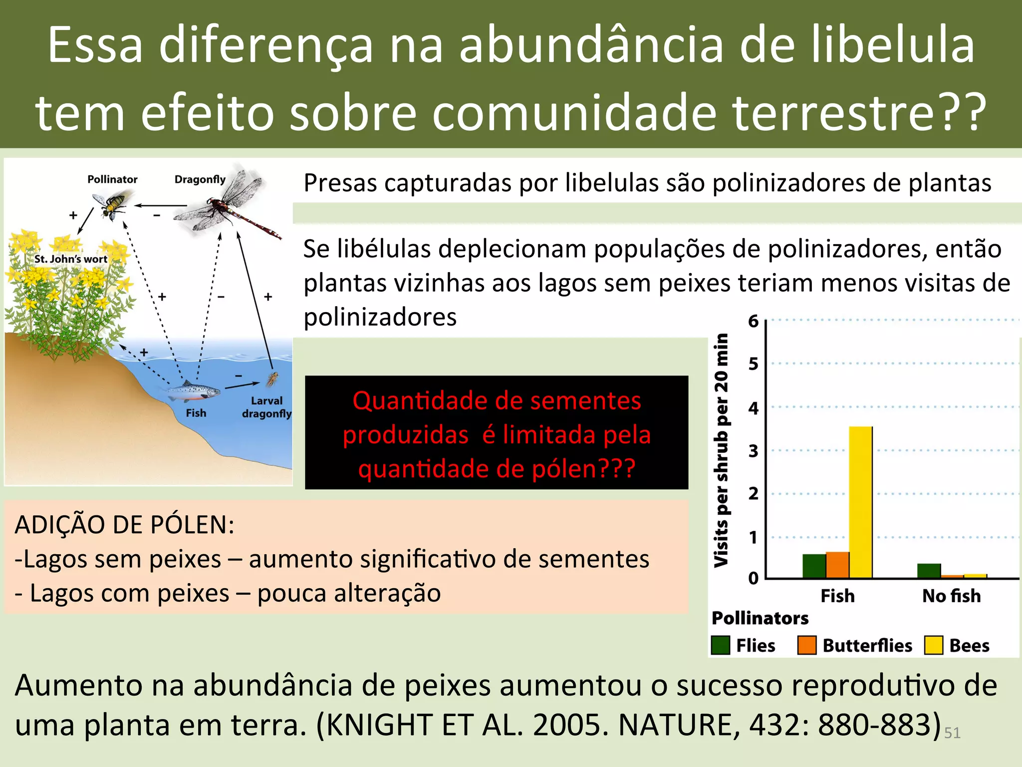 Essa	
  diferença	
  na	
  abundância	
  de	
  libelula	
  
tem	
  efeito	
  sobre	
  comunidade	
  terrestre??	
  
Presas	
  capturadas	
  por	
  libelulas	
  são	
  polinizadores	
  de	
  plantas	
  
Se	
  libélulas	
  deplecionam	
  populações	
  de	
  polinizadores,	
  então	
  
plantas	
  vizinhas	
  aos	
  lagos	
  sem	
  peixes	
  teriam	
  menos	
  visitas	
  de	
  
polinizadores	
  
QuanEdade	
  de	
  sementes	
  
produzidas	
  	
  é	
  limitada	
  pela	
  
quanEdade	
  de	
  pólen???	
  
ADIÇÃO	
  DE	
  PÓLEN:	
  
-­‐Lagos	
  sem	
  peixes	
  –	
  aumento	
  signiﬁcaEvo	
  de	
  sementes	
  
-­‐	
  Lagos	
  com	
  peixes	
  –	
  pouca	
  alteração	
  
Aumento	
  na	
  abundância	
  de	
  peixes	
  aumentou	
  o	
  sucesso	
  reproduEvo	
  de	
  
uma	
  planta	
  em	
  terra.	
  (KNIGHT	
  ET	
  AL.	
  2005.	
  NATURE,	
  432:	
  880-­‐883)	
  51	
  
 
