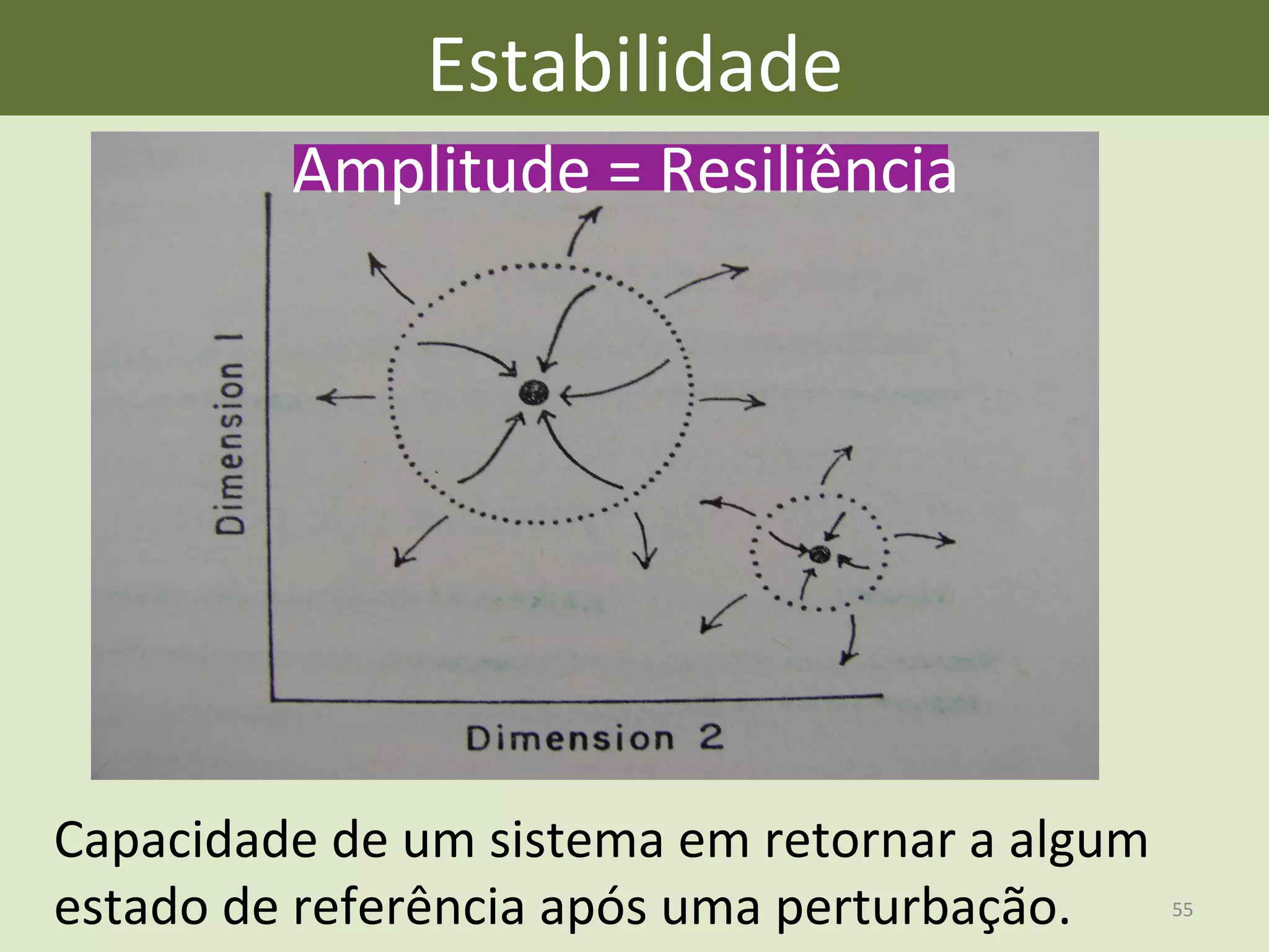 Amplitude	
  =	
  Resiliência	
  
Estabilidade	
  
Capacidade	
  de	
  um	
  sistema	
  em	
  retornar	
  a	
  algum	
  
estado	
  de	
  referência	
  após	
  uma	
  perturbação.	
   55	
  
 