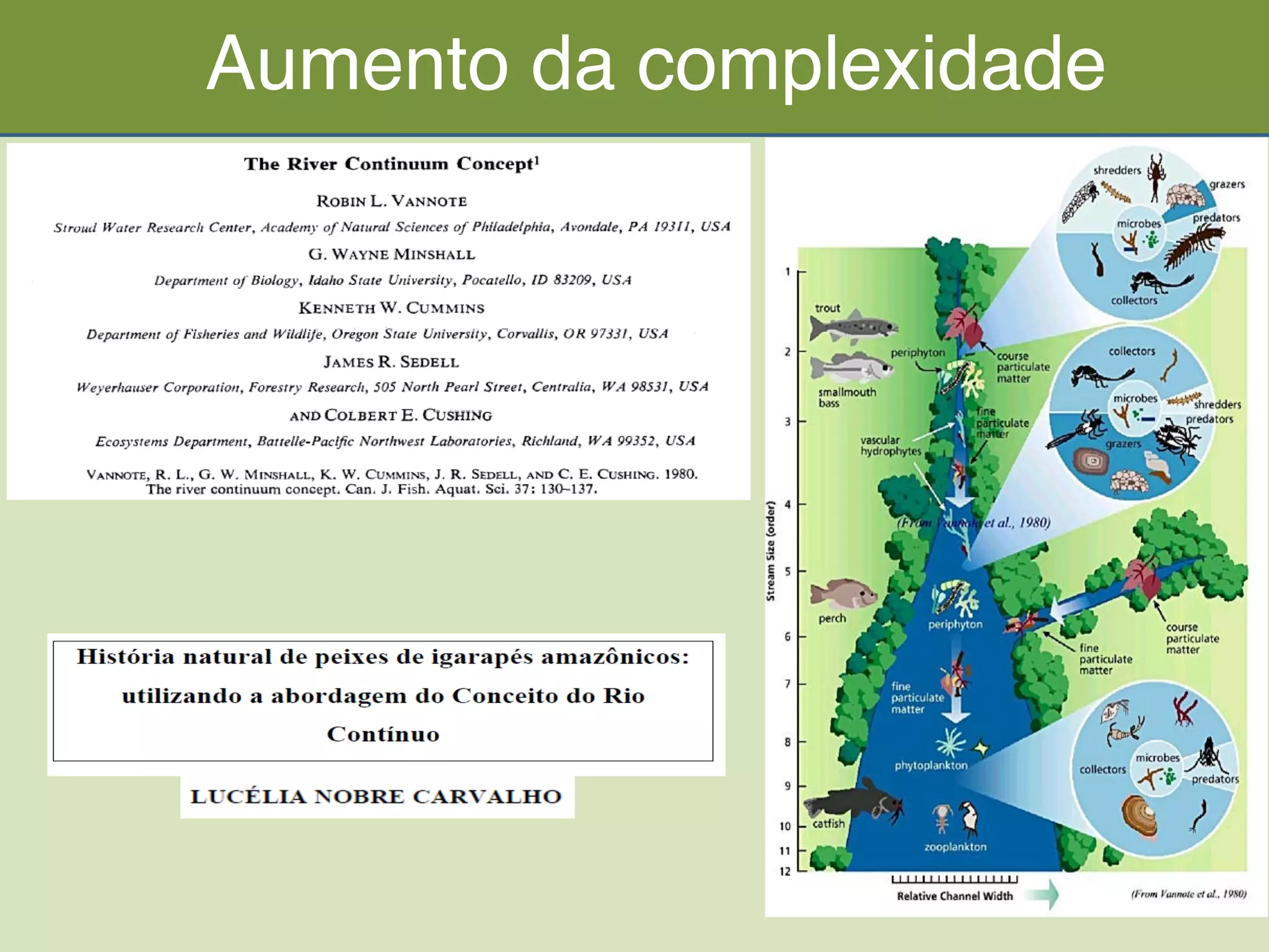 60	
  
39
Aumento da complexidade
 