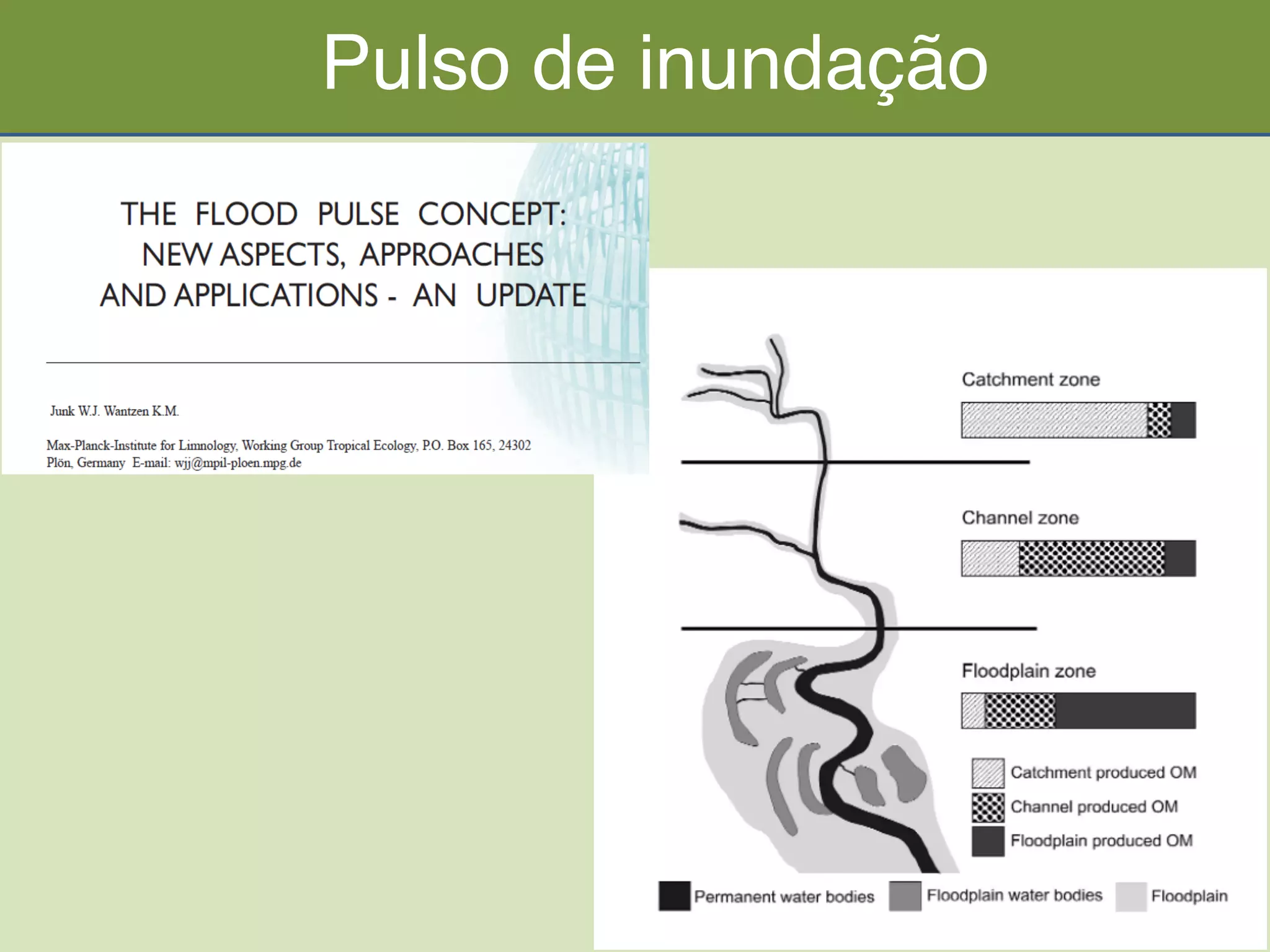 61	
  
40
Pulso de inundação
 