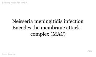 Neisseria meningitidis infection Encodes the membrane attack complex (MAC) 
54b 
Badrawy Notes For MRCP 
Basic Science 
 
