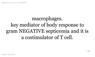 macrophages. 
key mediator of body response to 
gram NEGATIVE septicemia and it is a costimulator of T cell. 
1 3b 
Badraw...