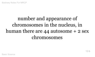 number and appearance of 
chromosomes in the nucleus, in 
human there are 44 autosome + 2 sex chromosomes 
13 b 
Badrawy N...
