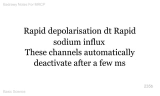 Rapid depolarisation dt Rapid sodium influx 
These channels automatically deactivate after a few ms 
235b 
Badrawy Notes F...