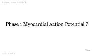 Phase 1 Myocardial Action Potential ? 
236a 
Badrawy Notes For MRCP 
Basic Science 
 