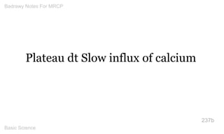 Plateau dt Slow influx of calcium 
237b 
Badrawy Notes For MRCP 
Basic Science 
 